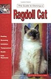 Guide to Owning a Ragdoll Cat Guide to Owning a Ragdoll Cat