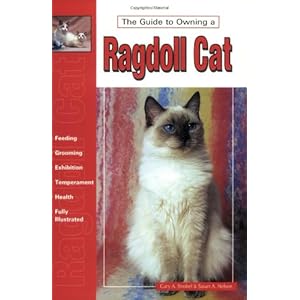 Guide to Owning a Ragdoll Cat