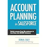 account planning in salesforce
