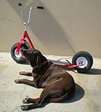 All Terrain Scooter Kaz-USA