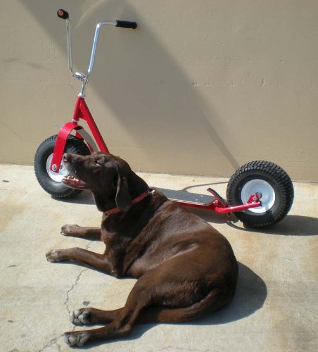 All Terrain Scooter Kaz-USA