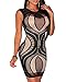 Cfanny Women's Lace Nude Illusion See Through Bodycon Dress (Large, Black01)