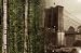 A Redwood Grows In Brooklyn (Home Use) A Redwood Grows In Brooklyn (Home Use)