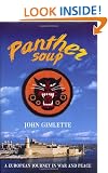 Panther Soup: A European Journey in War and Peace