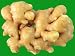 Ginger Fresh 14 Oz