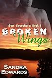 Broken Wings (Soul Searchers Series: Book 1)
