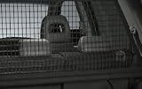Honda Pilot Seperation Net - fits model years 2006 2007 and 2008 - for pets, lightweight items etc.
