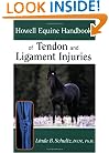 Howell Equine Handbook of Tendon and Ligament Injuries (Howell Equestrian Library)