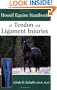 Howell Equine Handbook of Tendon and Ligament Injuries (Howell Equestrian Library)