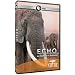 Echo: An Elephant to Remember