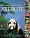 The Illustrated Atlas of Wildlife