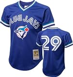 Joe Carter #29 1993 Toronto Blue Jays Royal Mitchell & Ness Mesh BP Jersey