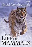 The Life of Mammals