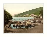 Abbazia small harbor Istria Austro-Hungary, c. 1890s, M-UNF