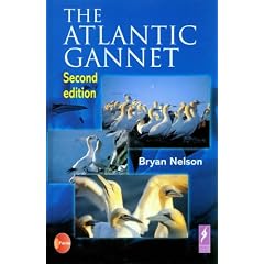 Atlantic Gannet, The