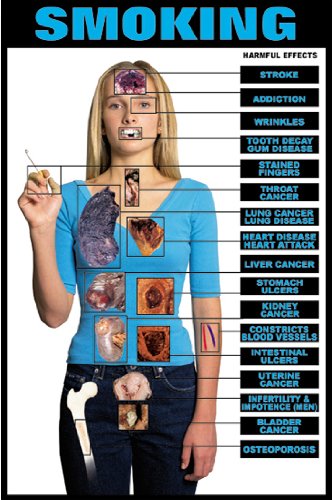 Harmful Effects of Smoking 24