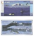 Antarctica 1996 5 Dollars