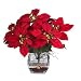 Poinsettia w/Cube Liquid Illusion