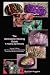 The Gemstone Healing Guide, A Healing Apothecary