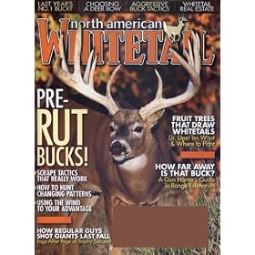 North American Whitetail