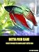 Betta Fish Care - Everything You Need To Know About Betta Fish