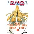 Bleach, Tome 36 :