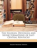 The Silurian, Devonian and Irvine Formations of East-Central Kentucky