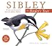 Sibley: The Birder's Year 2009 Daily Boxed Calendar (Calendar)