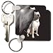 Dogs Argentine Dogo - Argentine Dogo - Key Chains