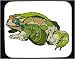 image 3 - Decorated Mouse Pad with green toad warts sitting
