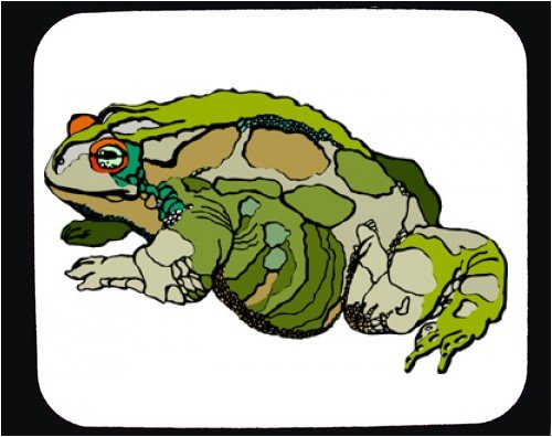 image link -  - B000T6AEJM
