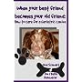 When Your Best Friend Becomes Your Old Friend: How To Care For Your Geriatric Canine