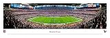 HOUSTON TEXANS - RELIANT STADIUM - NFL PANORAMA POSTER PRINT