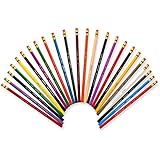 Prismacolor Col-Erase Erasable Colored Pencils,  Set of 24 Assorted Colors  (20517)