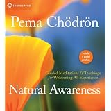 Natural Awareness: Guided Meditations and Teachings for Welcoming All Experience