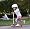 Mini Kick Scooter - PINK, for kids age 2-5, the quality 3-wheel scooter