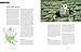 Owls of North America