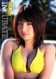 長尾麻由/incubate