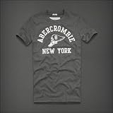 アバクロ ABERCROMBIE&FITCH 並行輸入品 メンズ 半袖 Ｔシャツ 【BEAR BROOK】グレー