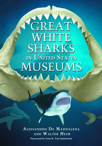 Great White Sharks in United States Museums
