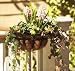 Flat Iron Deck/wall Planter, 7\