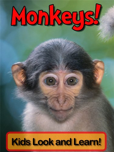 Monkeys! Learn About Monkeys and Enjoy Colorful Pictures - Look and Learn! (50+ Photos of Monkeys)
