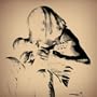 Songbones
