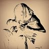 Image of album by Grayson Capps