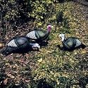 Delta Flock Of Turkey Decoys