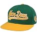 Top of the World Notre Dame Fighting Irish Green-Gold 3D Script Snapback Adjustable Hat