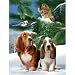Looking for Trouble 500pc Jigsaw Puzzle by Thomas Wood