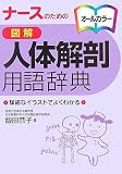 ナースのための 図解人体解剖用語辞典
