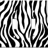 Zebra Print Switch Plate - Double Toggle - By Art Plates�