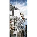 Pelican Key Canvas Wall Art - 17x36"